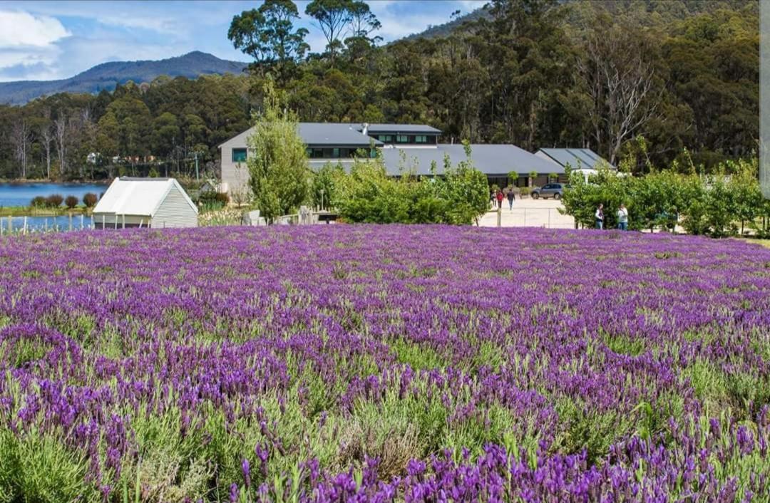 Ruby'S Cottage Farm Stay Port Arthur Kültér fotó